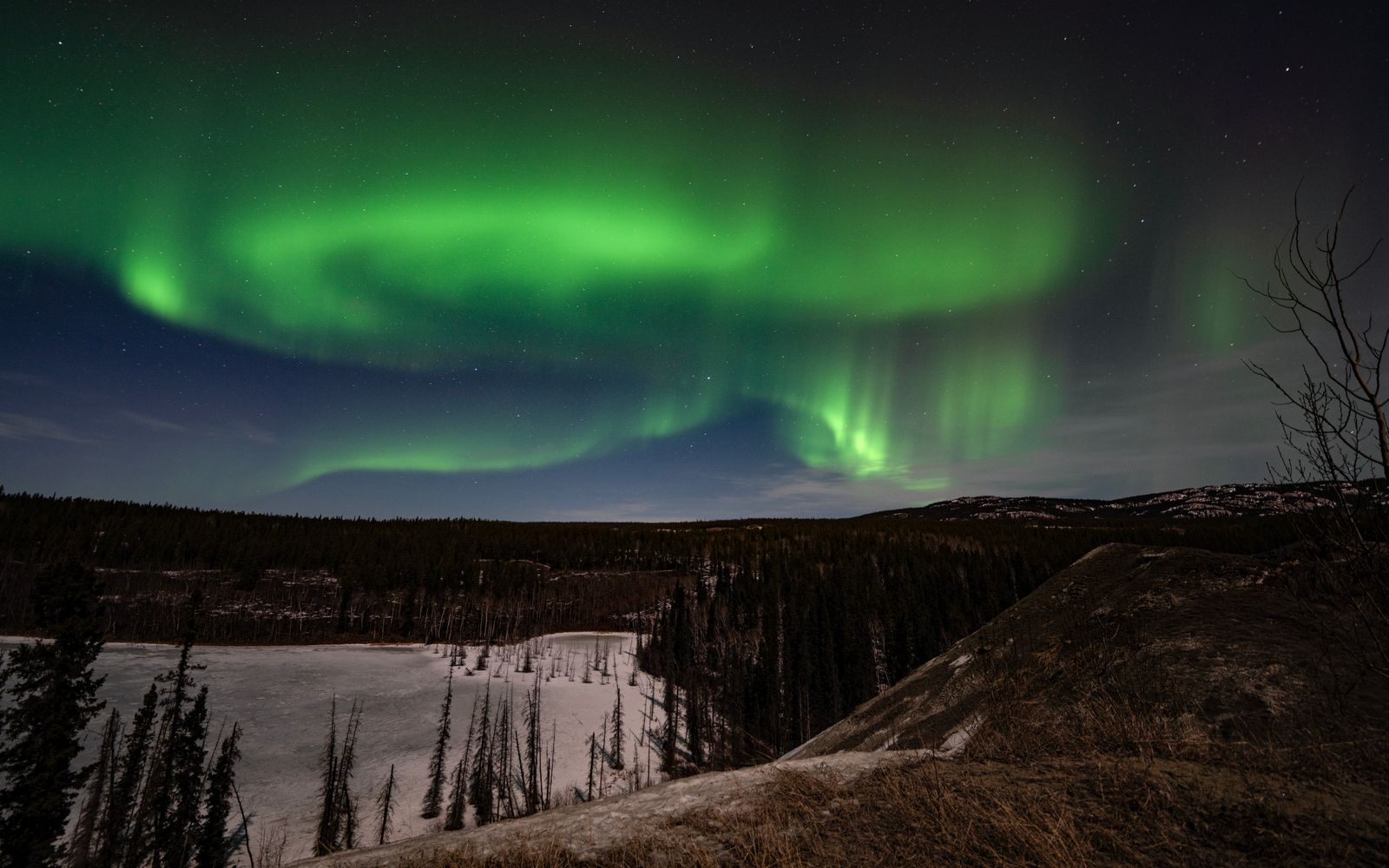 Aurora borealis above Whitehorse, Yukon